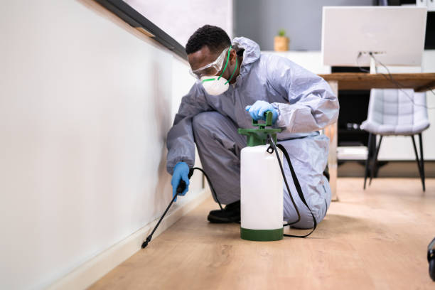 Best Fumigation Services  in Carlyss, LA